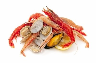 Shells and Crustaceans