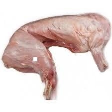 YOUNG WHOLE RABBITS - USA - $3.50 PER 100 GMS