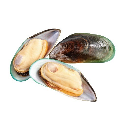 GREEN SHELL MUSSELS - $19.00 PER PACK - NEW ZEALAND GREEN SHELL MUSSELS - $19.00 PER PACK - NEW ZEALAND
