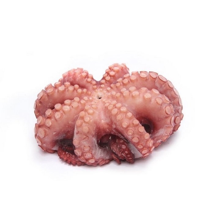 GIANT OCTOPUS TENTACLES - JAPAN - $6.80 PER 100 GMS GIANT OCTOPUS TENTACLES - JAPAN - $6.80 PER 100 GMS