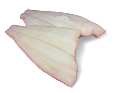 NORTH ATLANTIC WILD CAUGHT PLAICE FILLET SKINLESS [FLATFISH] - $4.80 PER 100 GMS