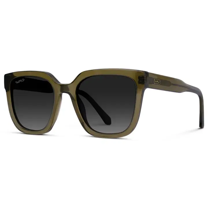 WMP Wren Square Polarized Sunglasses in Khaki Crystal Green/Grey Gradient Lens