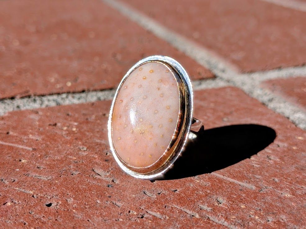 Savage Roots Mindy Ring in Pink Fossil Coral, Sterling Silver & 14KGF Savage Roots Mindy Ring in Pink Fossil Coral, Sterling Silver & 14KGF