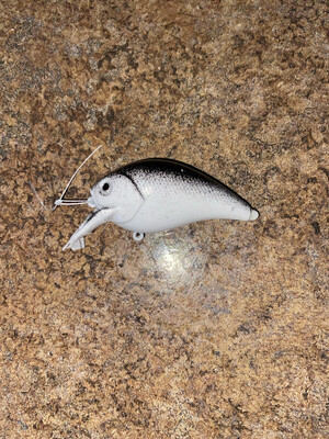 Crankbaits 