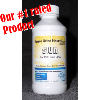 Severe Urine Neutralizer (SUN) Concentrate - 1 bottle  [makes 1-2 qts RTU solution]