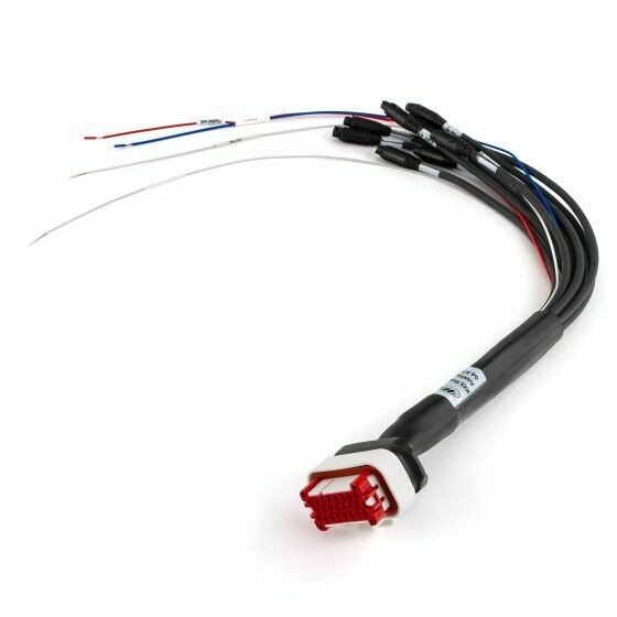 MXS 1.2 Strada 23 pin harness