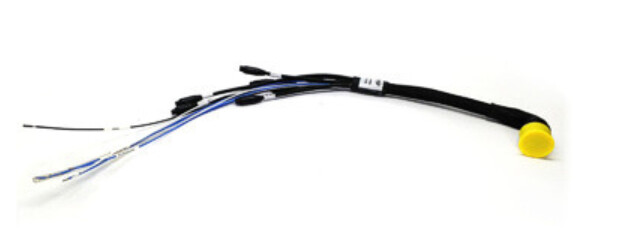 MXS/MXP/MXG/MXT 22 pin Harness