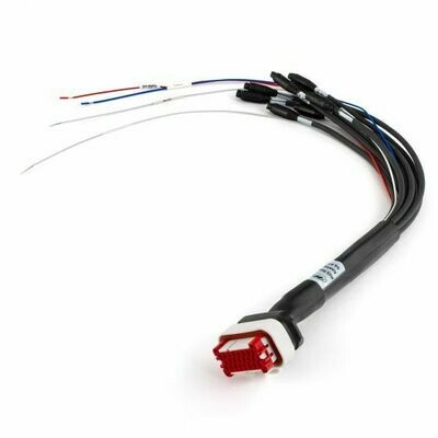 Strada 23 pin harness