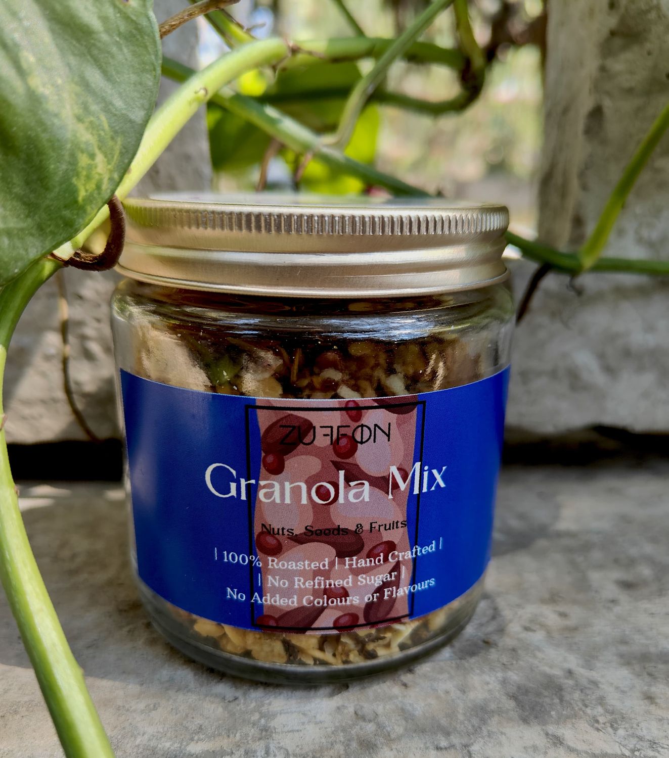 Granola Fruits Nuts &amp; Seeds (No Soy No Gluten) 110 gms