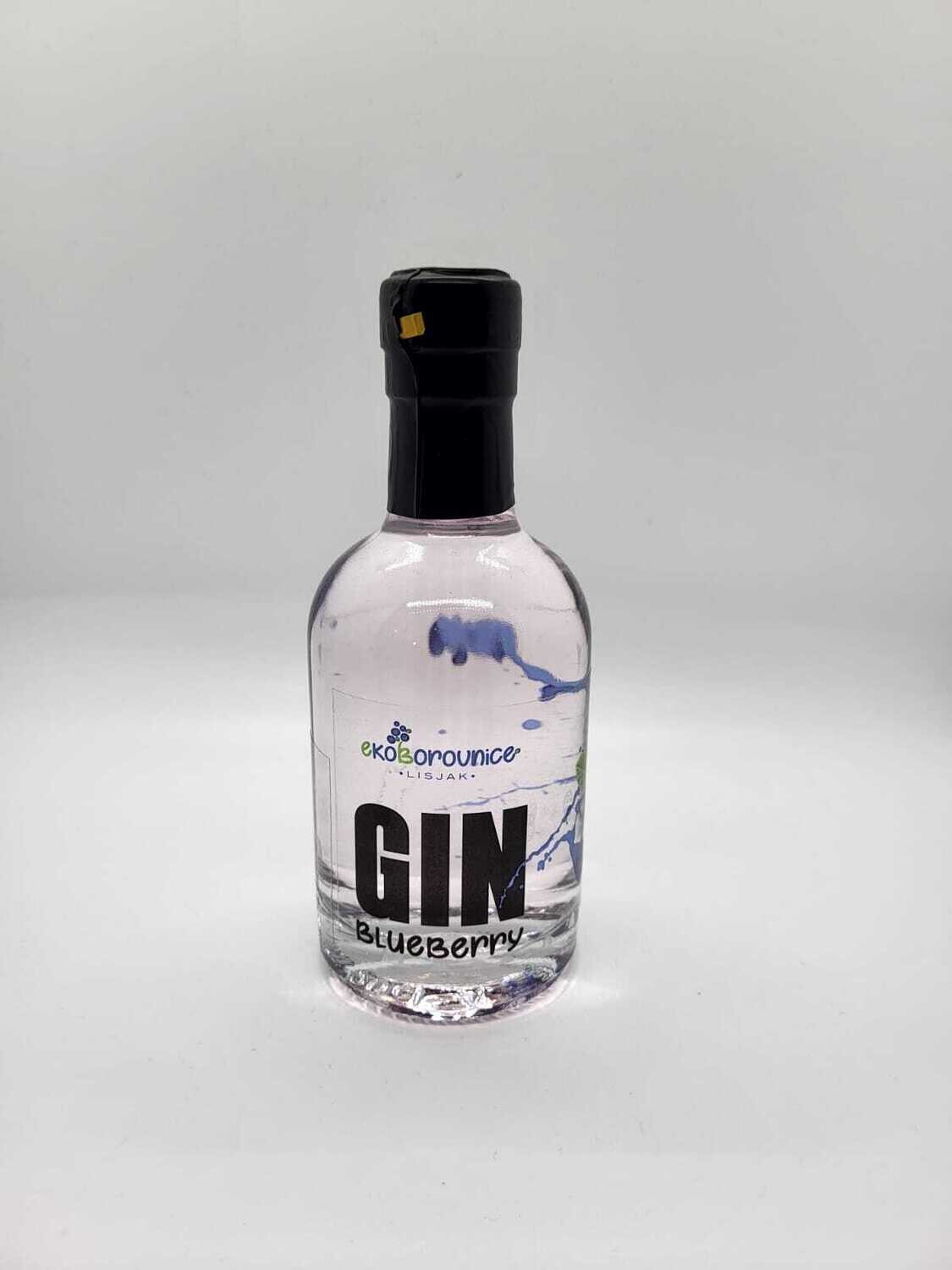 Gin Blueberry 0,2l