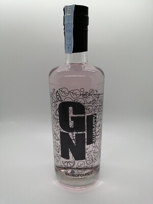Gin Bluberry 0,7l