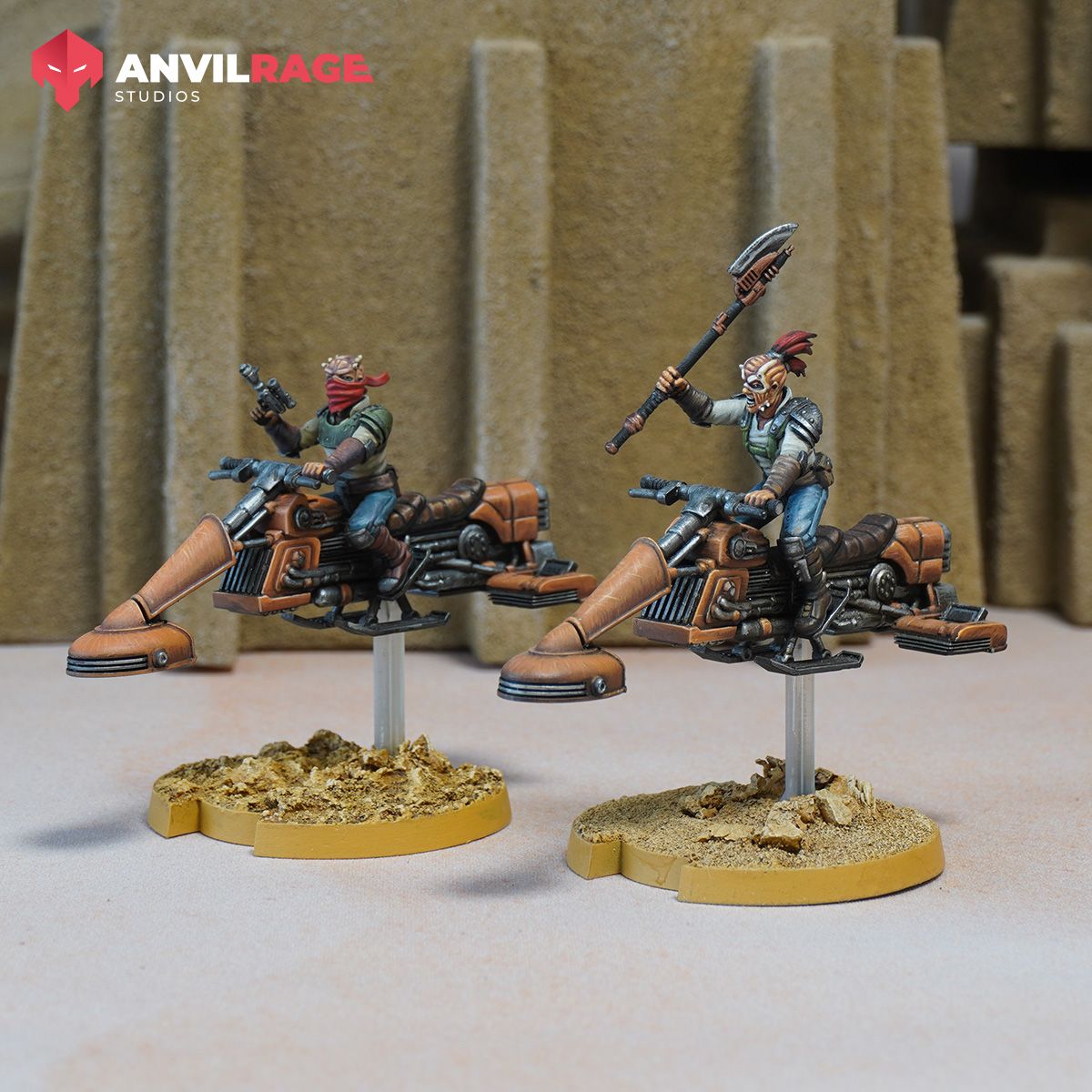 Pirate Raiders