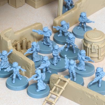 Desert Rebel Scavengers