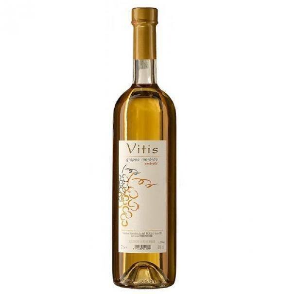 VITIS GRAPPA MORBIDA AMBRATA