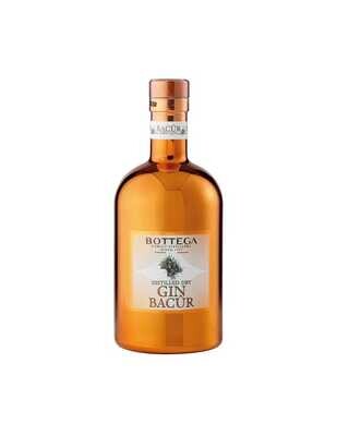 DRY GIN BACÛR BOTTEGA