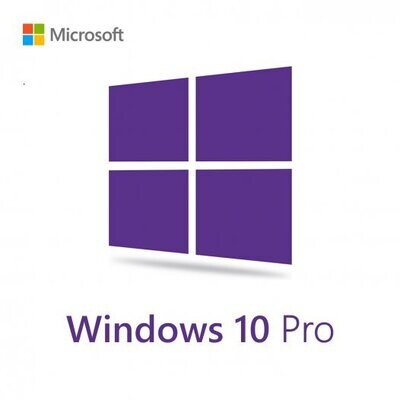 Microsoft Windows 10 Professional