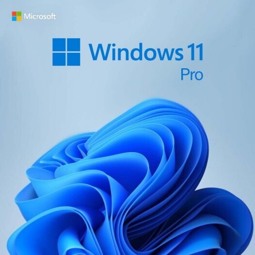 Microsoft Windows 11 Pro professional operating system for secure computing, productivity and business users