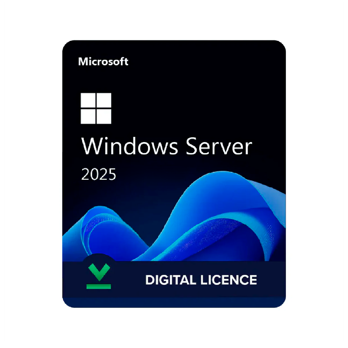 Microsoft Windows Server