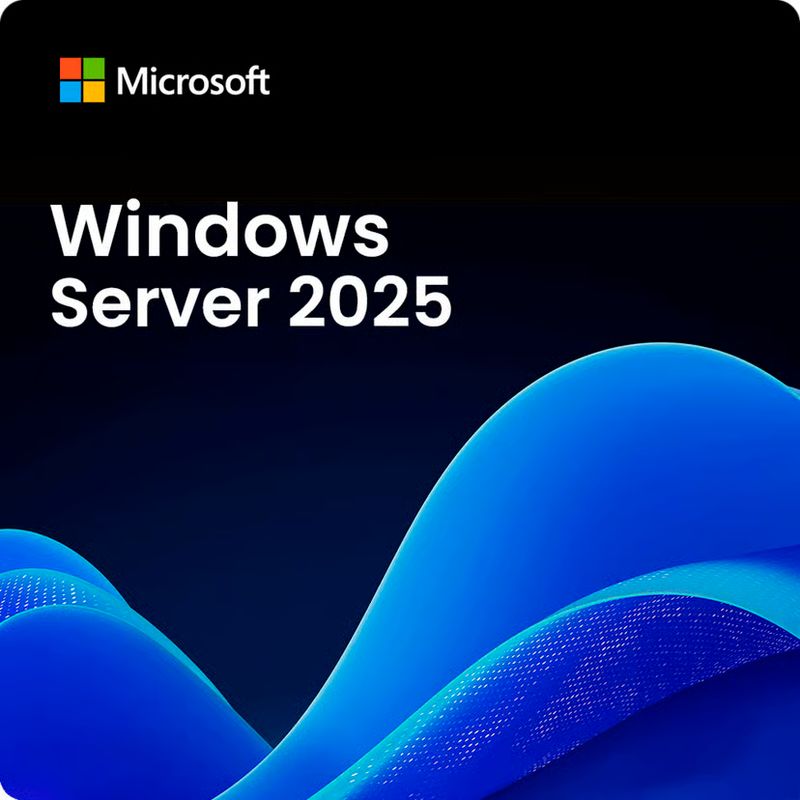 Microsoft Windows Server