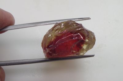 Collector Grade Rough