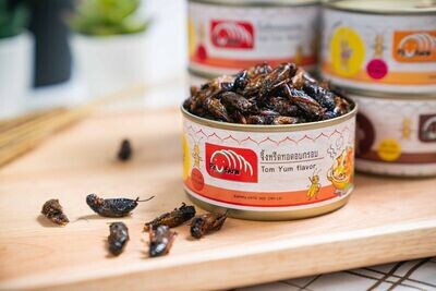 Canned Deep-Fried Insect Crickets Superfood, Thailand 15g. 7 flavors, one year