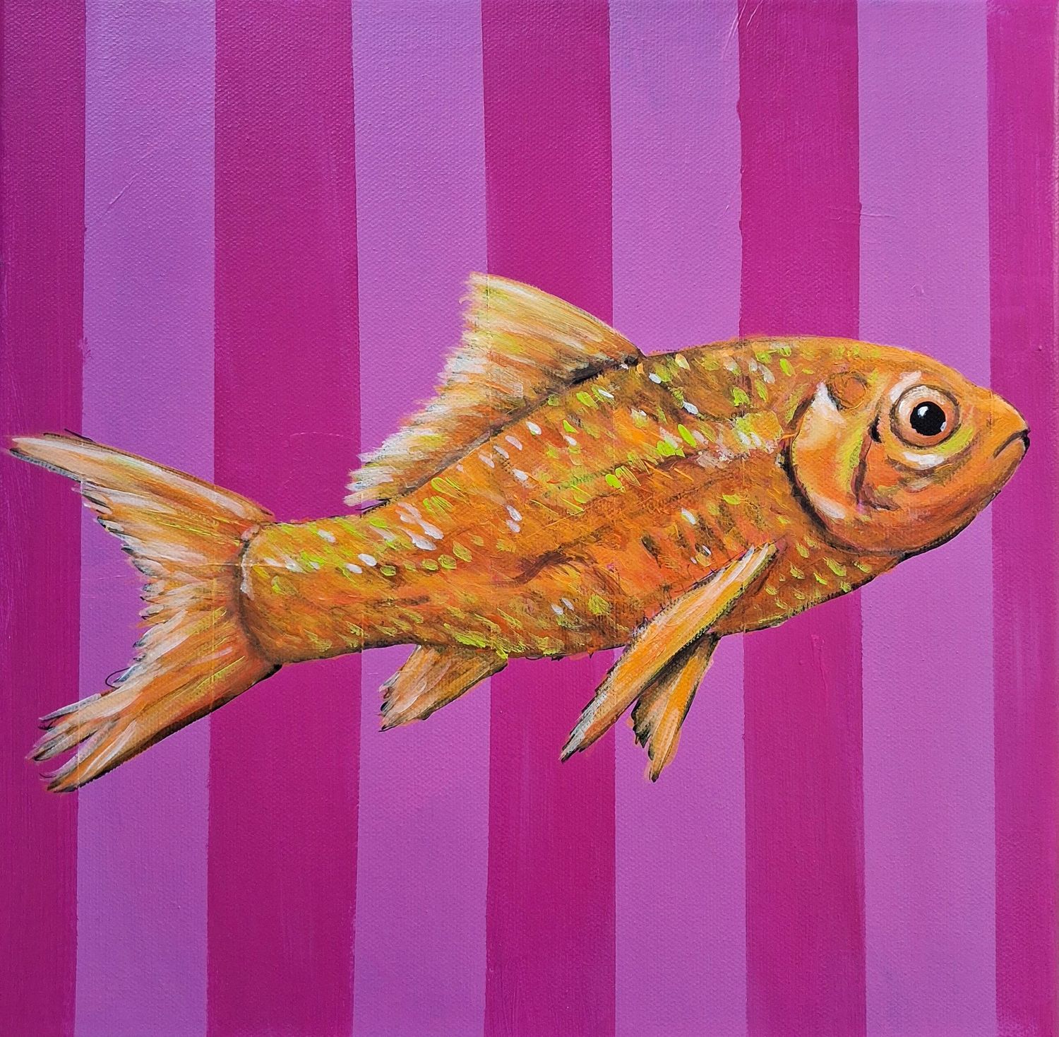 Isen´t it funny - Goldfisch