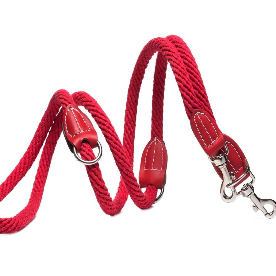 TREKKER - Hundeleine by Malucchi für mittelgroße und große Hunde, Farbe: rot