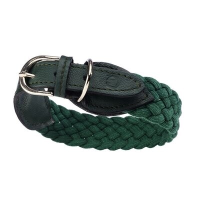 BRAID TREKKER - Hundehalsband by Malucchi, Farbe: dunkel-grün