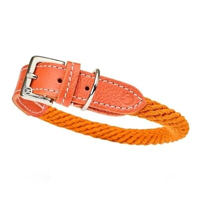 TREKKER - Hundehalsband by Malucchi für mittelgroße und große Hunde, Farbe: orange