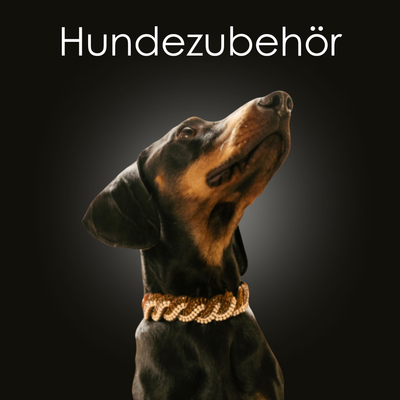 Hundezubehör