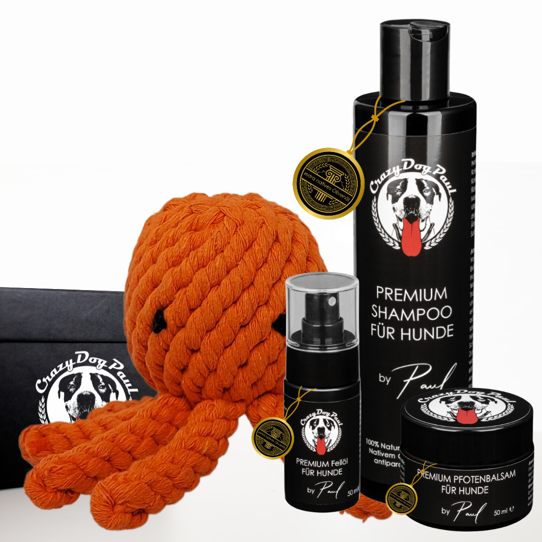 Fellpflege Geschenkbox für Hunde mit Spielzeug-Octopus