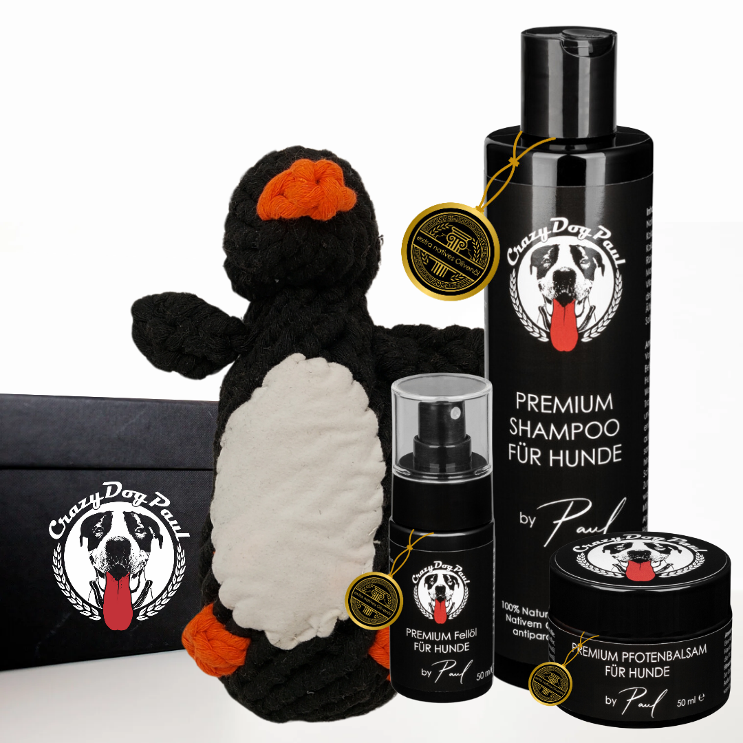 Fellpflege Geschenkbox für Hunde mit Spielzeug-Pinguin