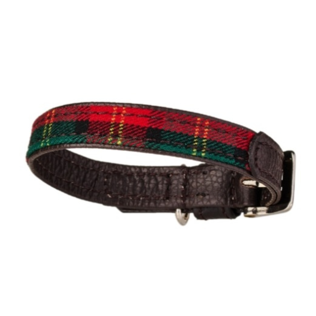 Hundehalsband TARTAN by Malucchi - Luxuriöse Baumwolle und italienisches Kalbsleder – Komfort trifft Stil, für kleine Hunde, Breite: 1,5 cm