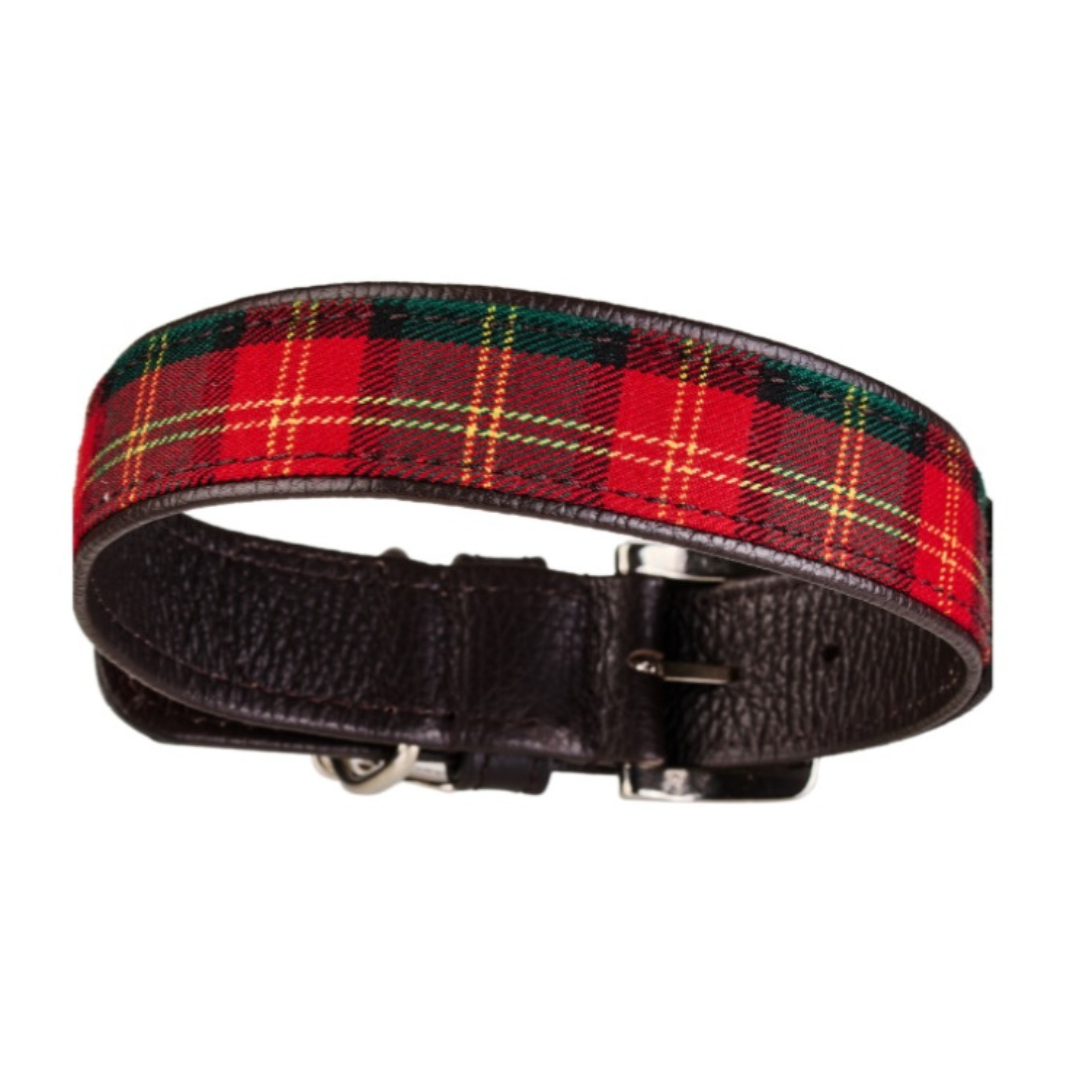 Hundehalsband TARTAN by Malucchi - Luxuriöse Baumwolle und italienisches Kalbsleder – Komfort trifft Stil, für mittelgroße Hunde, Breite: 2 cm