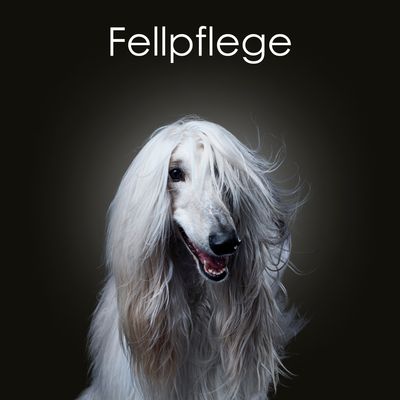 Fellpflege