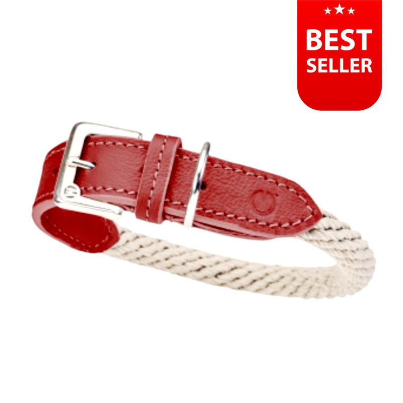 Hundehalsband TREKKER by Malucchi für mittelgroße und große Hunde in vielen Farben Hundehalsband TREKKER by Malucchi für mittelgroße und große Hunde in vielen Farben