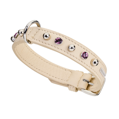 Hundehalsband BRIGHT by Malucchi aus weichen Rindsleder - für kleine Hunde, Breite 2 cm, tolle Farben