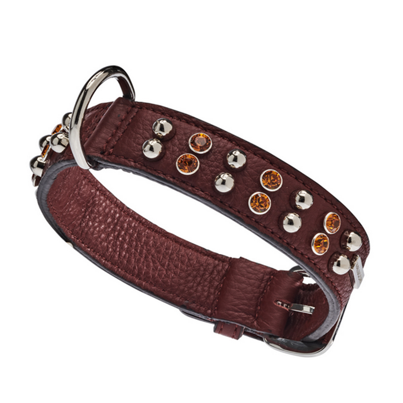 Hundehalsband BRIGHT by Malucchi aus weichen Rindsleder - für mittelgroße Hunde, Breite 3 cm, tolle Farben
