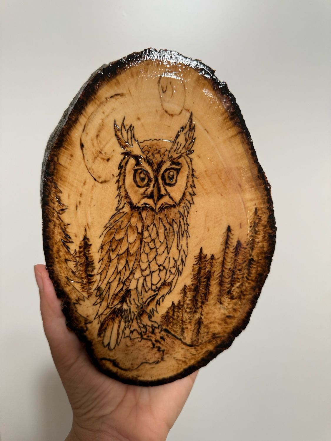 Owl