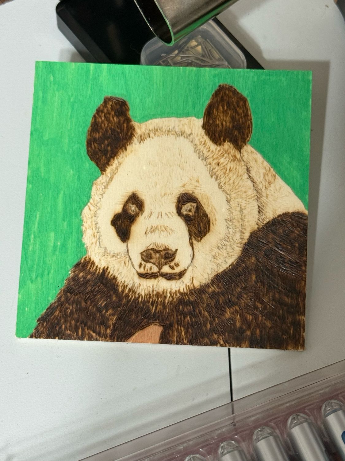 Panda