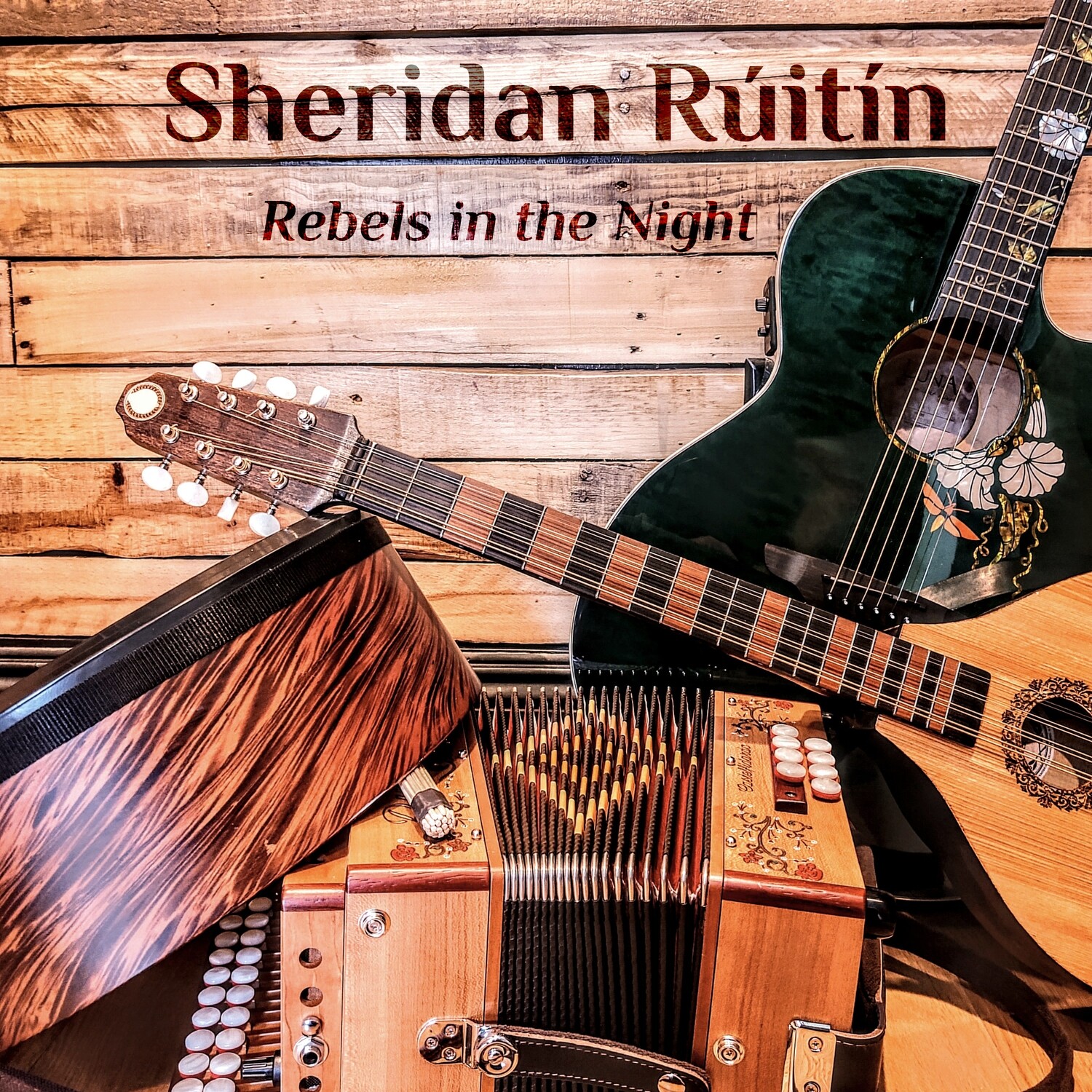Sheridan Rúitín - Rebels in the Night