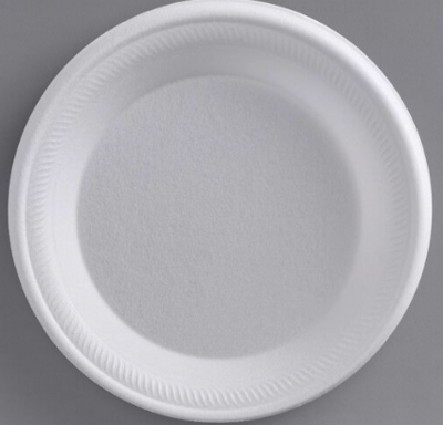 6&quot; FOAM PLATES ROUND