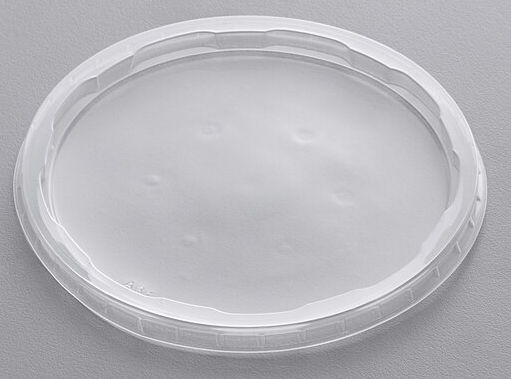 DELI LIDS