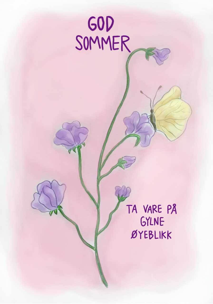 Kort nr 2 - Lysglimt