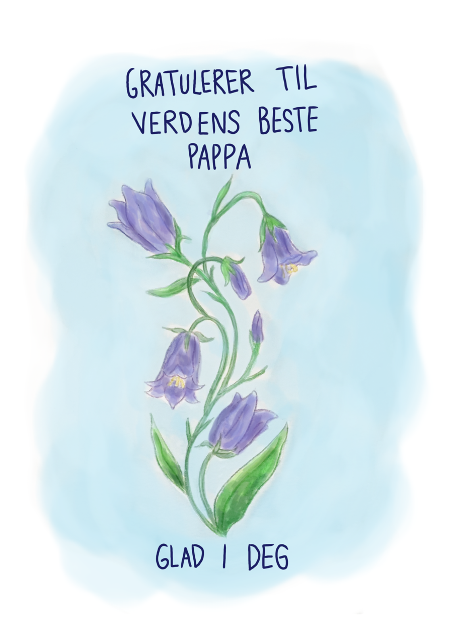 Kort nr 4 - Lysglimt