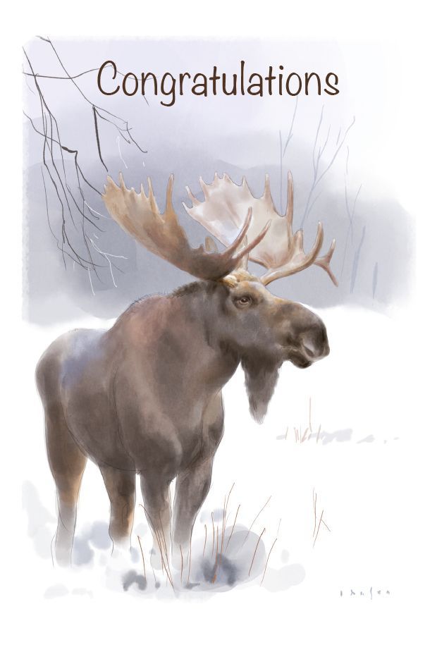 Kort nr 4 - The Spirit of Northern Nature