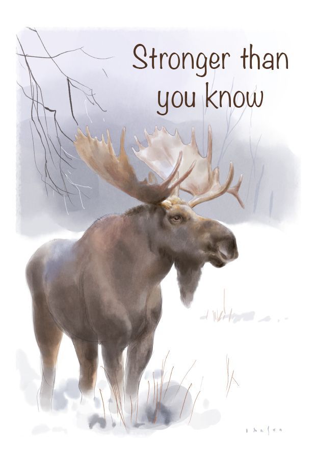 Kort nr 3 - The Spirit of Northern Nature