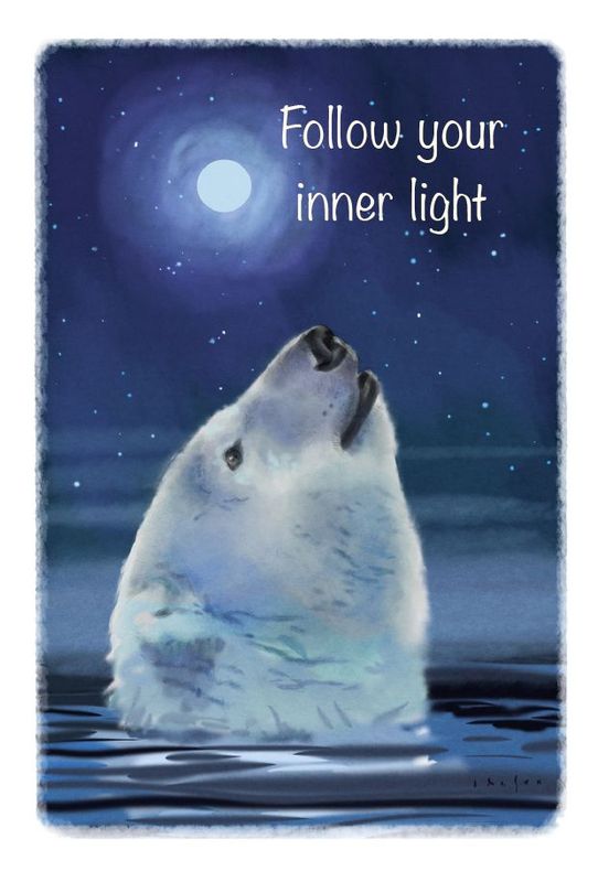 Kort nr 9 - The Spirit of Northern Nature