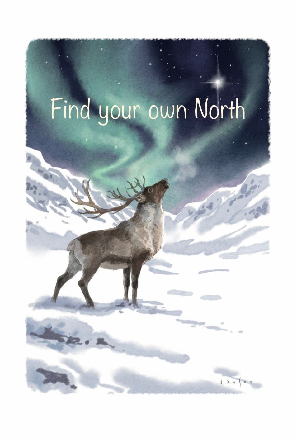 The Spirit of Northern Nature - Find your own North The Spirit of Northern Nature - Find your own North