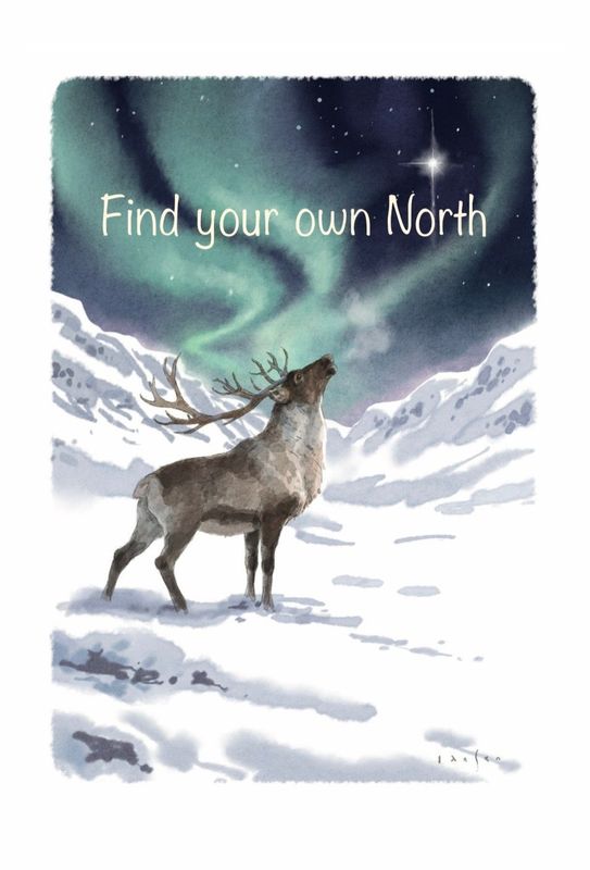 The Spirit of Northern Nature - Find your own North